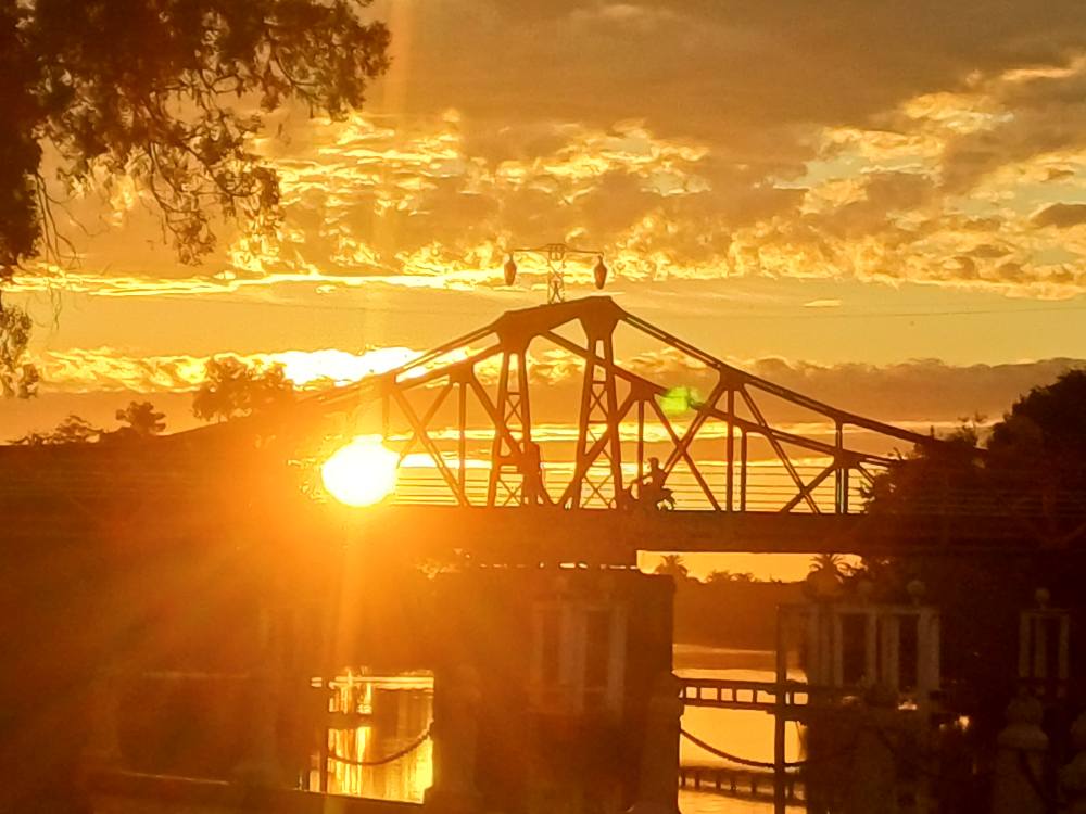 Viñedos de Carmelo al atardecer